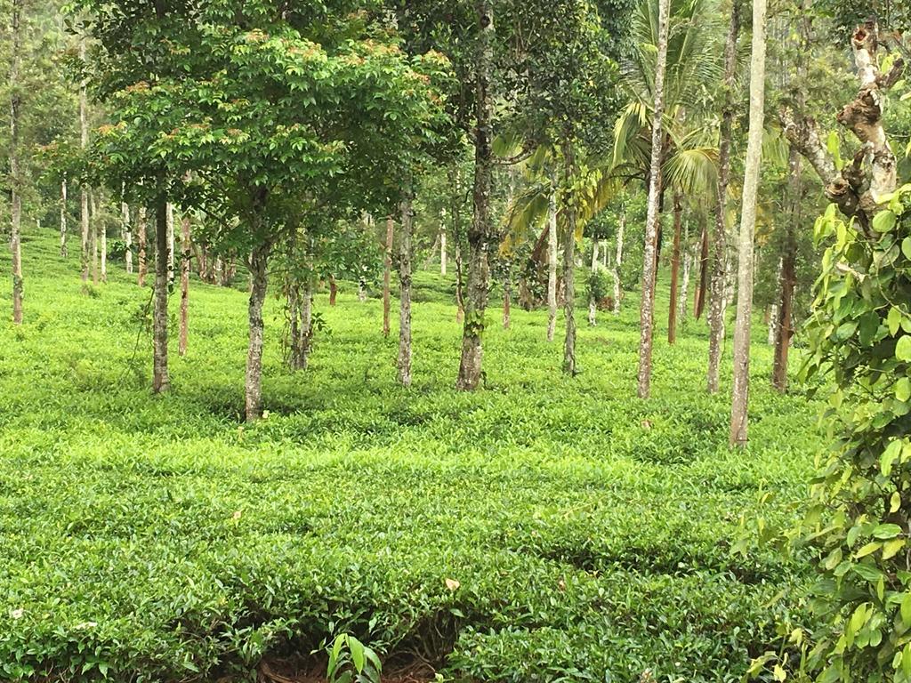 Harmony Farm Wayanad Villa Sultan Bathery Exterior foto